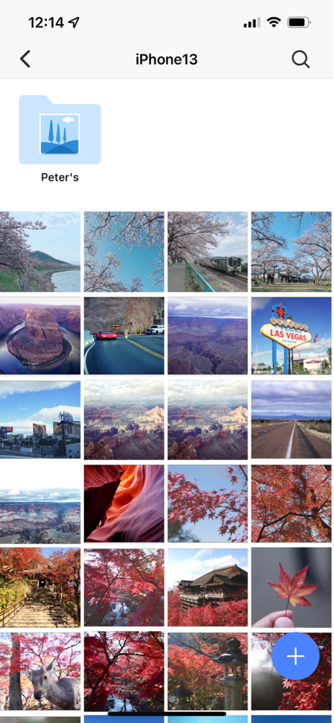 QuMagie mobile app photo gallery interface showing a grid of travel and nature photos