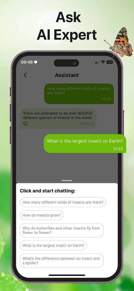 AI assistant chat screen in the Bug Sound Identifier app showing insect facts and common questions