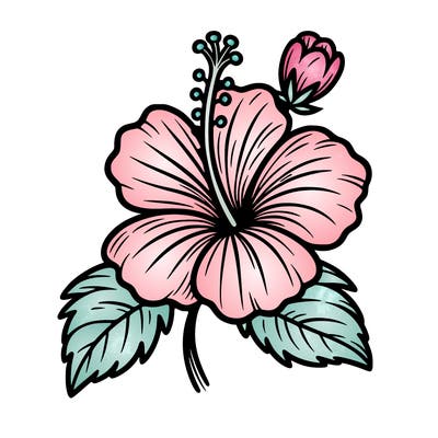 hibiscus flower