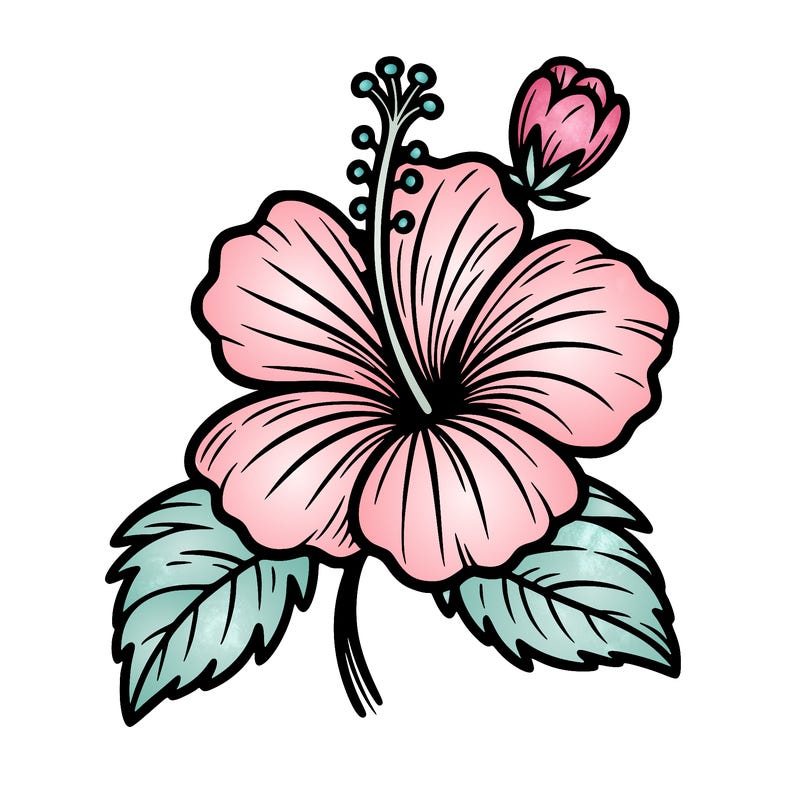hibiscus flower