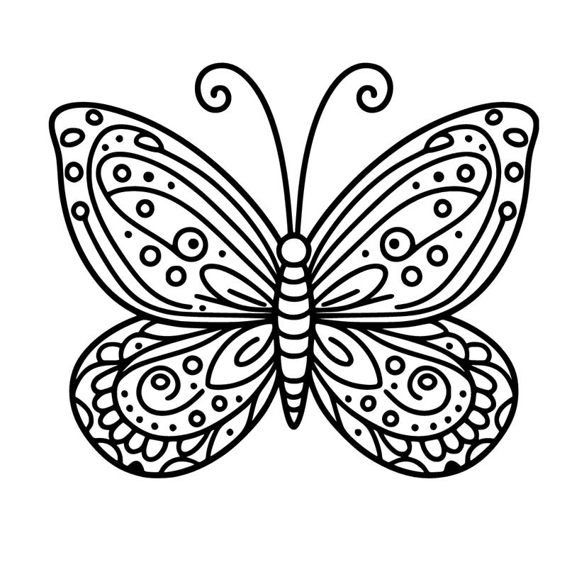 butterfly