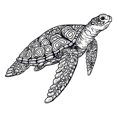 sea_life_03_new