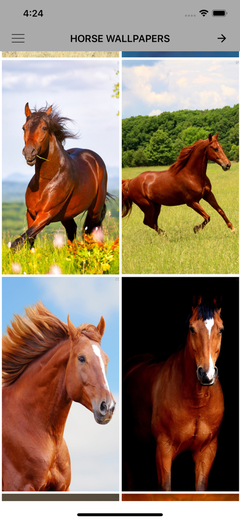 Horse Wallpapers & Backgrounds - Eine Sammlung majestätischer Pferde-Wallpaper, die in einer mobilen App-Galerie angezeigt werden.