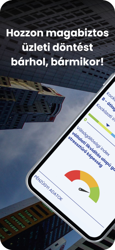 Opten Cégtár céginformáció - A mobile screen showing financial risk indicators and a crisis resilience index for business decision support.