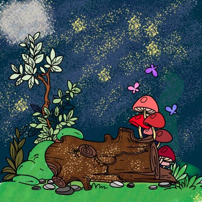 places_11