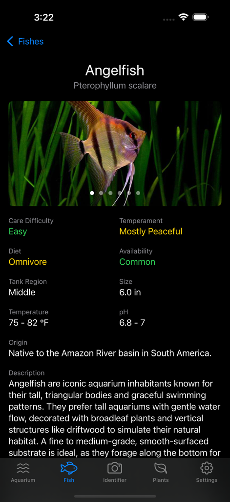 Aquarium Guide Fish Identifier - Detailed fish care profile for an Angelfish in the Aquarium Guide app showing temperament and tank requirements.