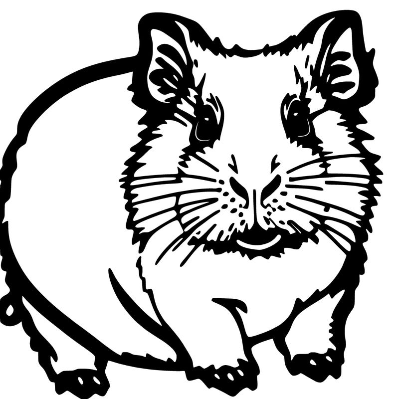 realistic guinea pig