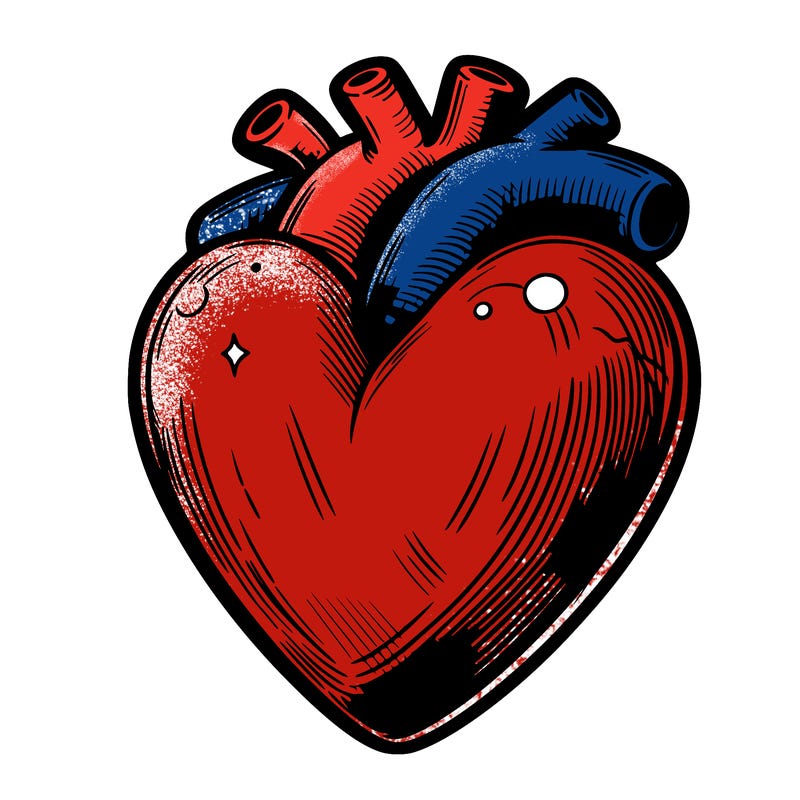 realistic heart