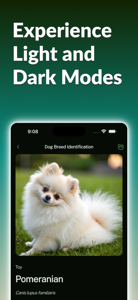 Dog Breed Identifier: Dog Care - Dog breed identifier app interface in dark mode showing a Pomeranian breed description