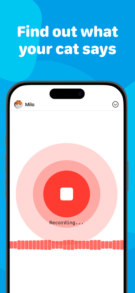 밀로라는 이름의 반려동물 프로필을 위해 야옹 소리를 녹음하는 고양이 번역기 앱의 인터페이스