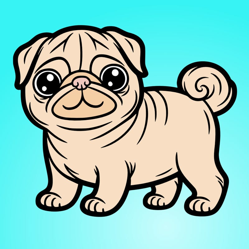 pug
