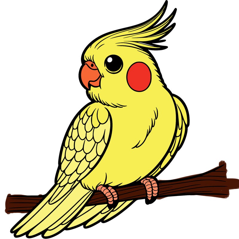 cockatiel
