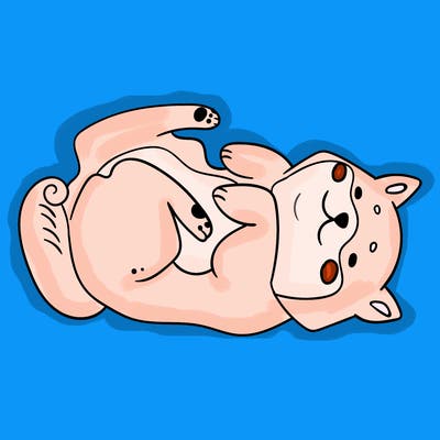 animals_30