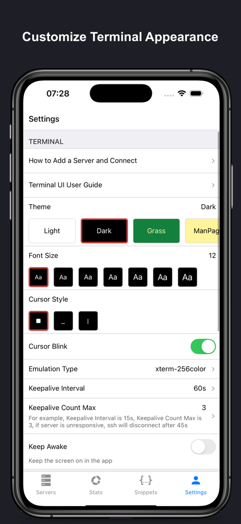 SSH Client Pro - Stats & Shell - Interface of SSH Client Pro showing terminal customization options like themes font size and cursor style