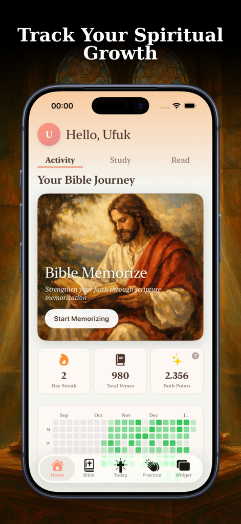Bible Widget Verse of the Day - Mobile app interface displaying Bible study progress, daily streaks, and faith points