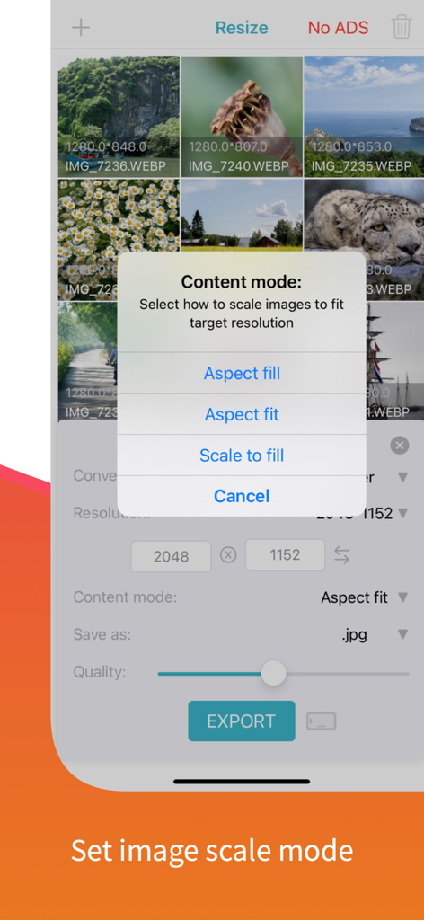 reduce image size - resizer - Auswahl der Optionen für den Skalierungsmodus in der Foto-Größenänderungs-App