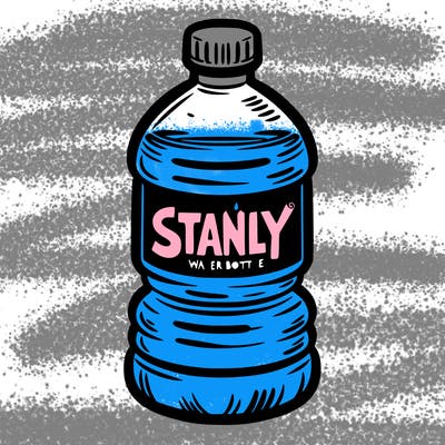 stanly water bottle