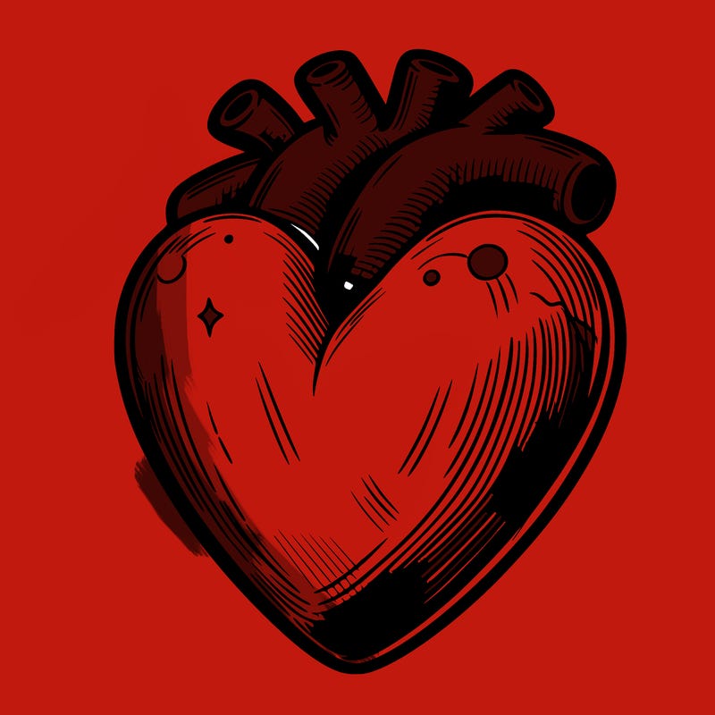 realistic heart