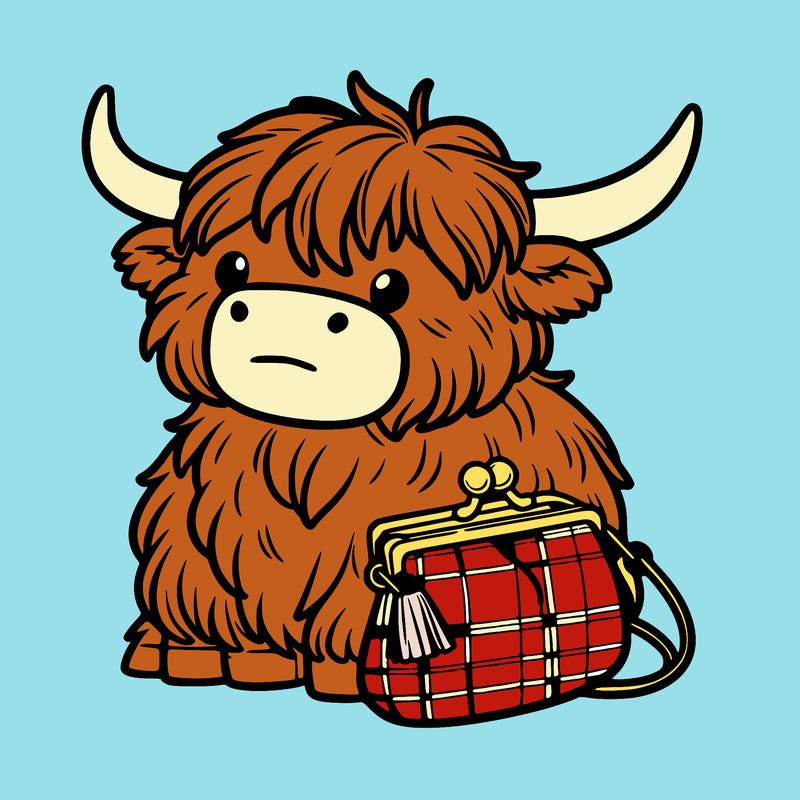 highland cow in a purse