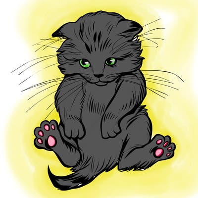 animals_20