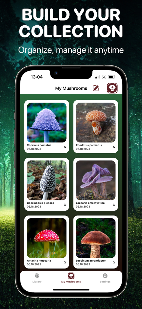 Mushroom Identifier App: Fungi - キノコ識別アプリの個人コレクション画面。名前と日付が表示された識別された菌類のギャラリーが表示されています。