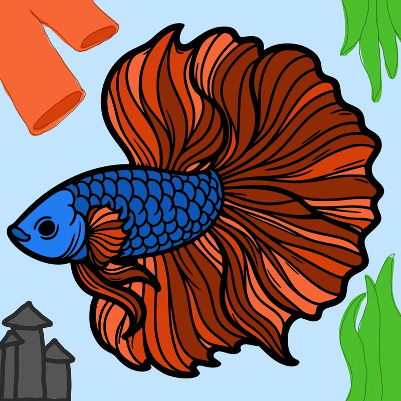 betta fish