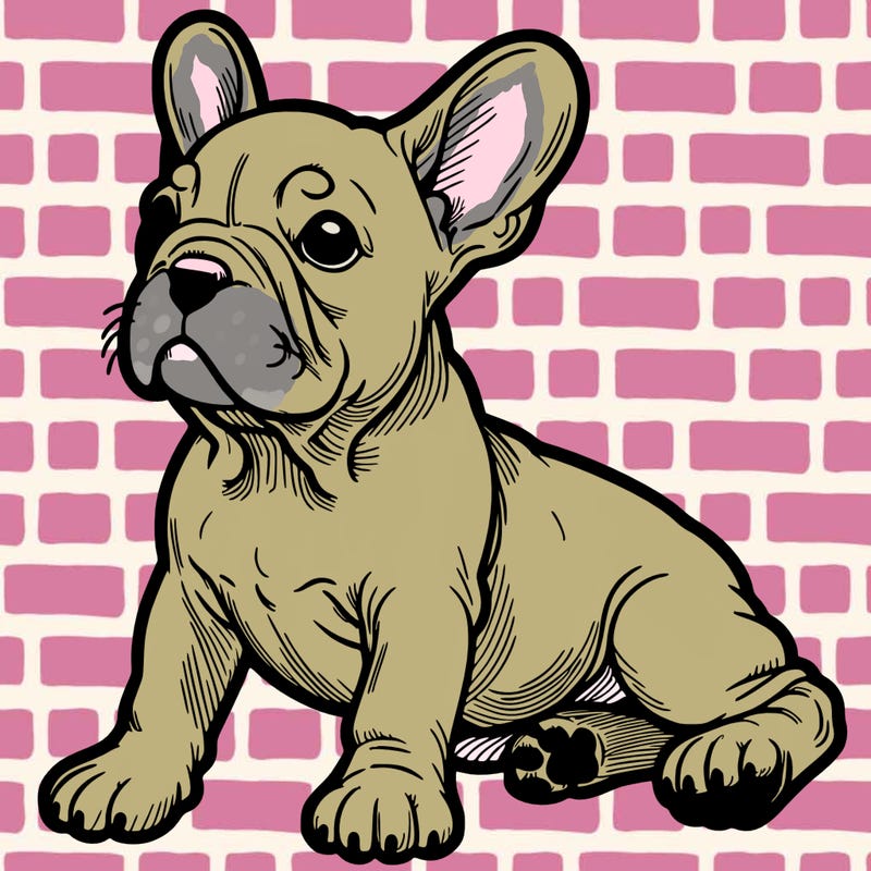 french bulldog