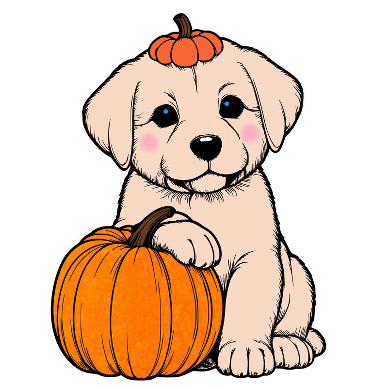a realistic puppywith a pumpkin on his head