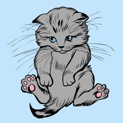 animals_20