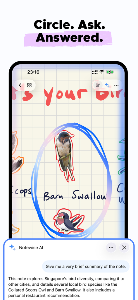 Notewise - AI Notes, PDF, Docs - Notewise AI feature summarizing a handwritten note about birds on an iPad