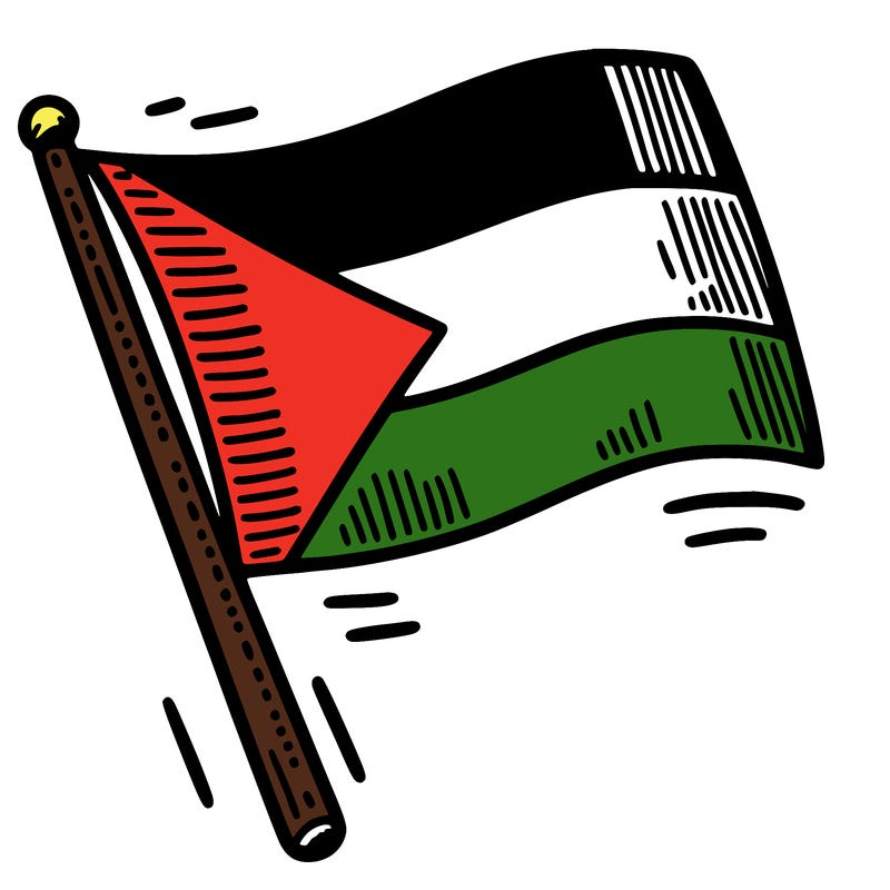 palestine flag