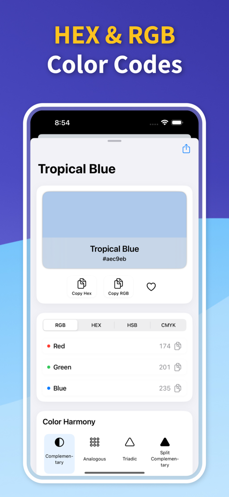 Color Identifier: Paint Match - Color Identifier app interface displaying HEX and RGB codes for a selected color