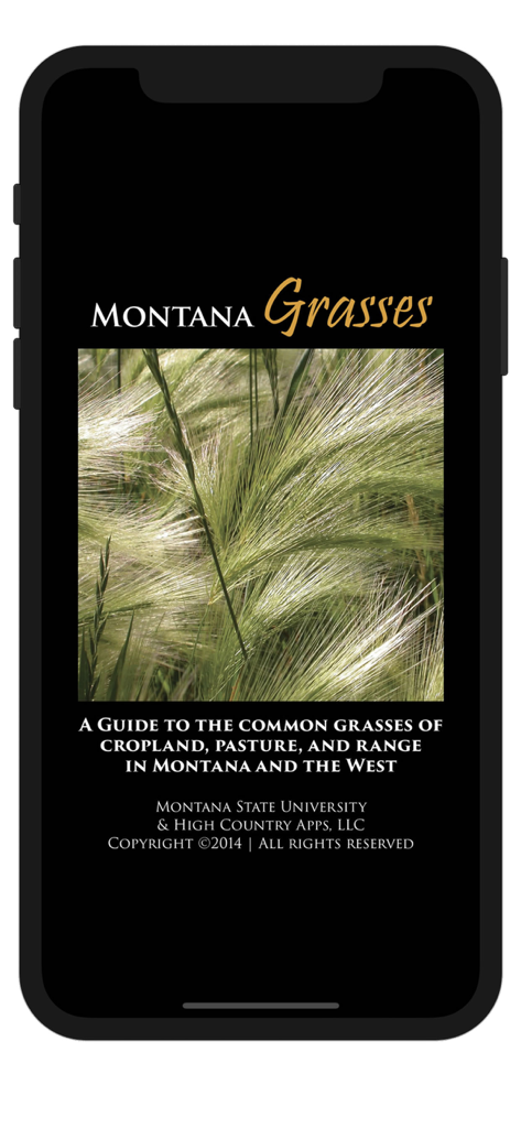 Montana Grasses - Splash screen of the Montana Grasses identification app showing a photo of wild grasses and the Montana State University logo.