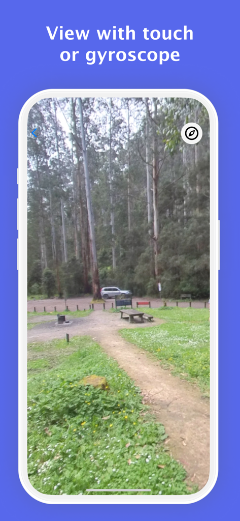 iPhone screenshot showing a 360 degree forest photo within the Simple 360 Photo Viewer app using gyroscope or touch navigation