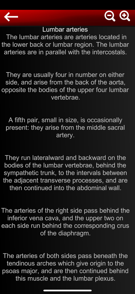 Circulatory System 3D Anatomy - Detailed text description of lumbar arteries within the circulatory system 3D anatomy mobile app.
