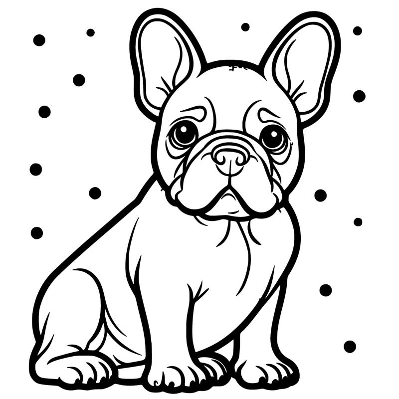 french bulldog