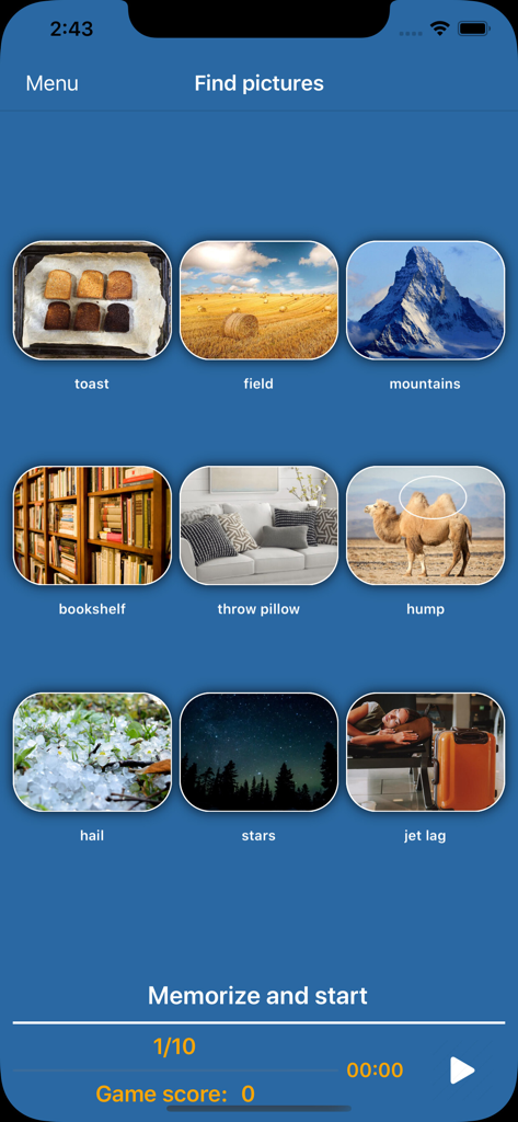 Brain and memory training Pro - L'écran du jeu Trouver des images dans l'application Brain and memory training Pro avec une grille d'images étiquetées pour l'entraînement de la mémoire.