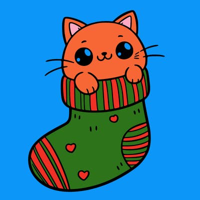 cute cat in a sock