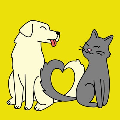 animals_22