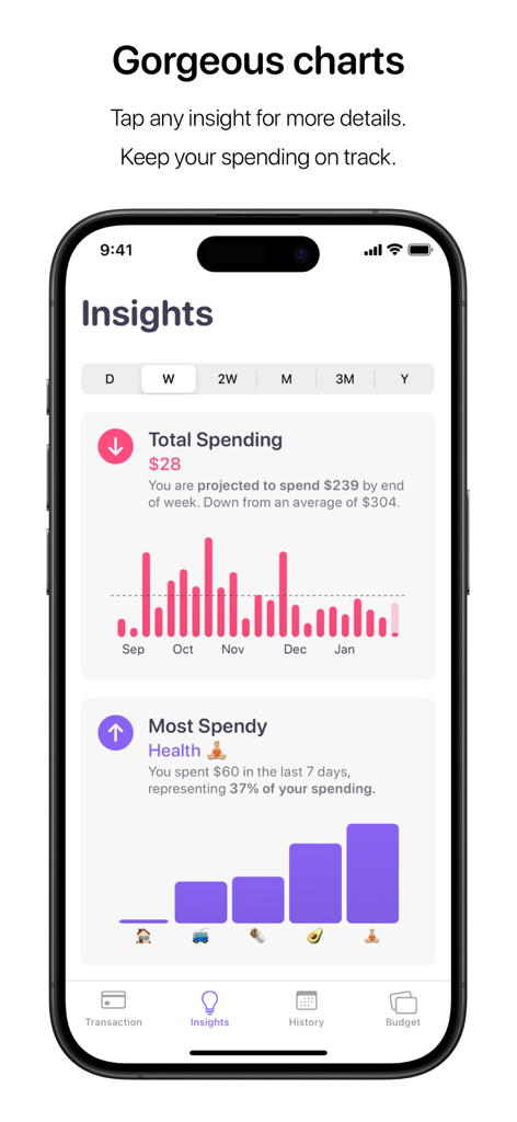 Nudget spending tracker insights screen with colorful spending charts