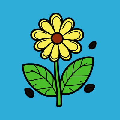 a flower