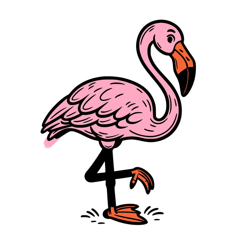 flamingo