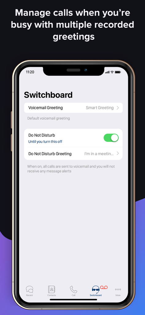 Another Number app switchboard screen for managing business calls and greetings