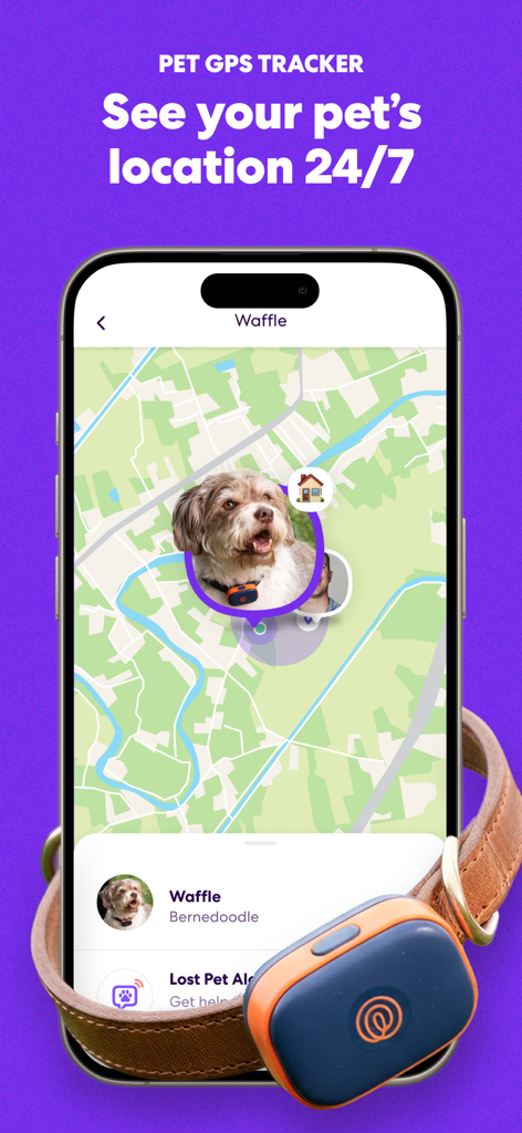 L'interface de l'application Life360 affiche la position en temps réel du chien sur une carte et un traceur GPS pour animaux de compagnie fixé à son collier.