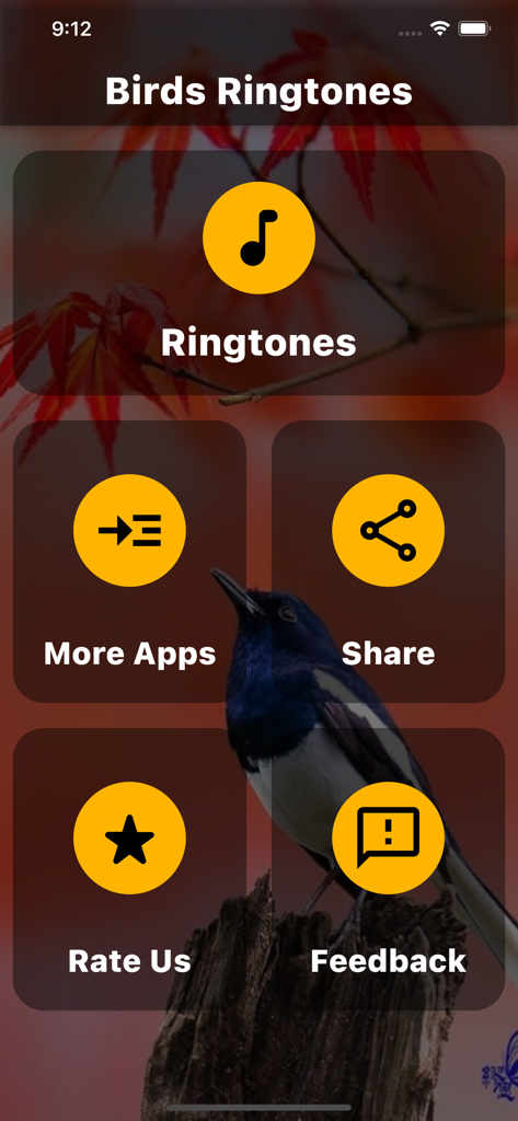 Birds Ringtones - Main menu of the Birds Ringtones app showing icons for ringtones share and feedback