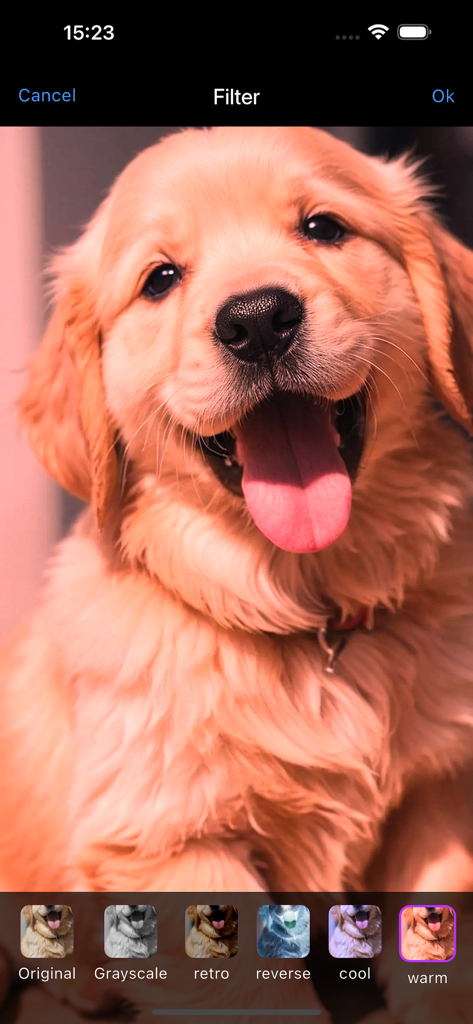 Wallify app screen showing photo filters for a golden retriever puppy wallpaper