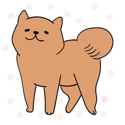 animals_29