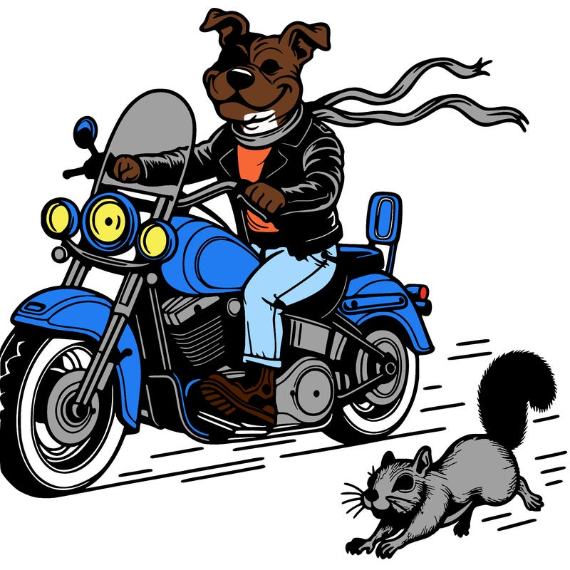 dog pi-bull on a harley davison motorcycle with a harley davison leather jacket, leather pants, harley davison helmet, and a squirt running ahead of the bike.