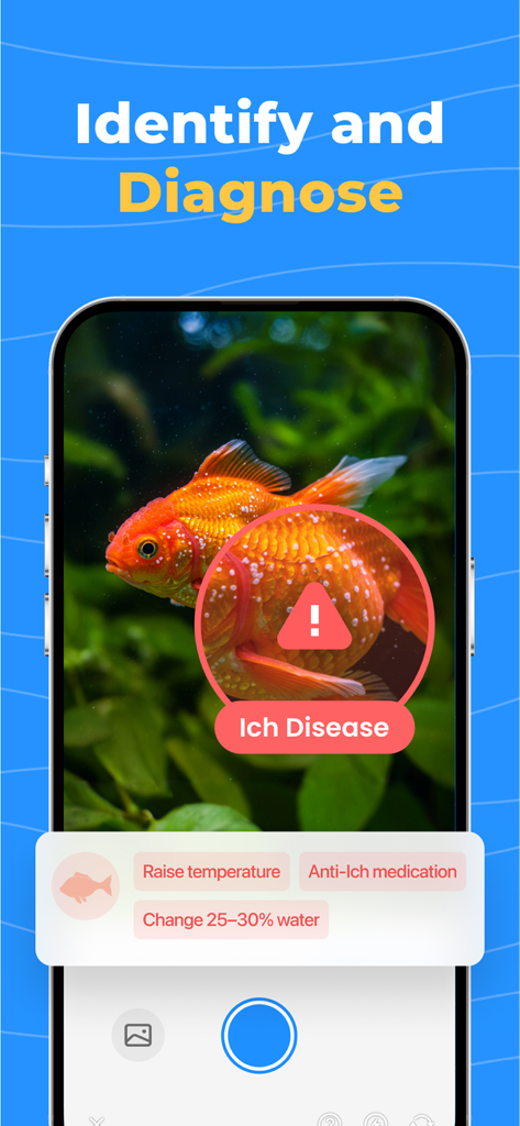 OkayFish - Pet Fish Care Guide - OkayFish app interface showing AI diagnosis of Ich disease on a goldfish with treatment suggestions