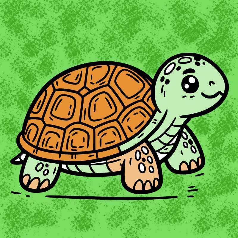 turtle